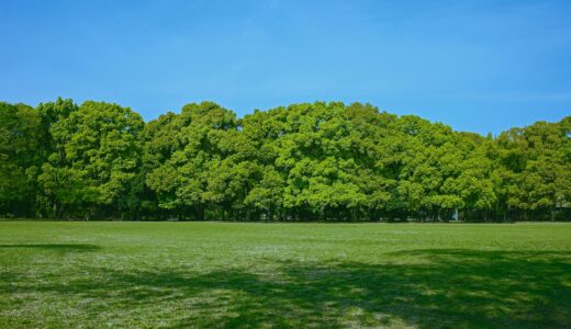 「緑の父」と呼ばれた男